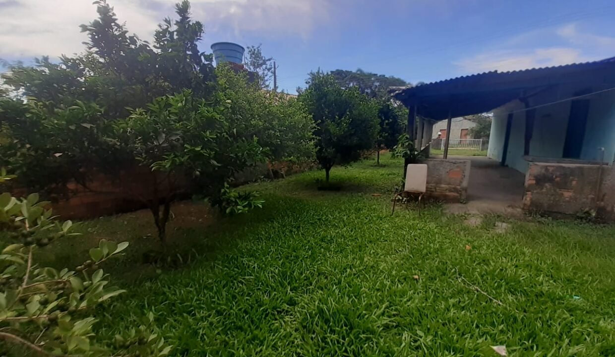 WhatsApp Image 2026-01-19 at 11.17.03