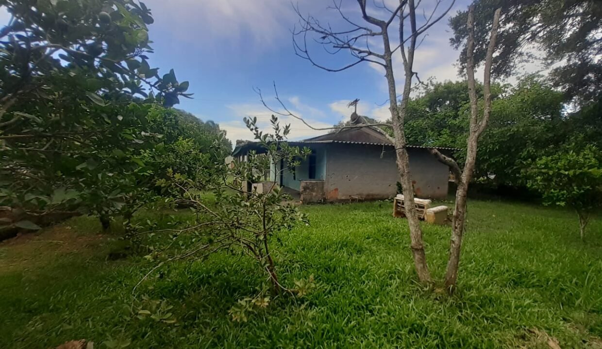 WhatsApp Image 2026-01-19 at 11.17.05 (2)