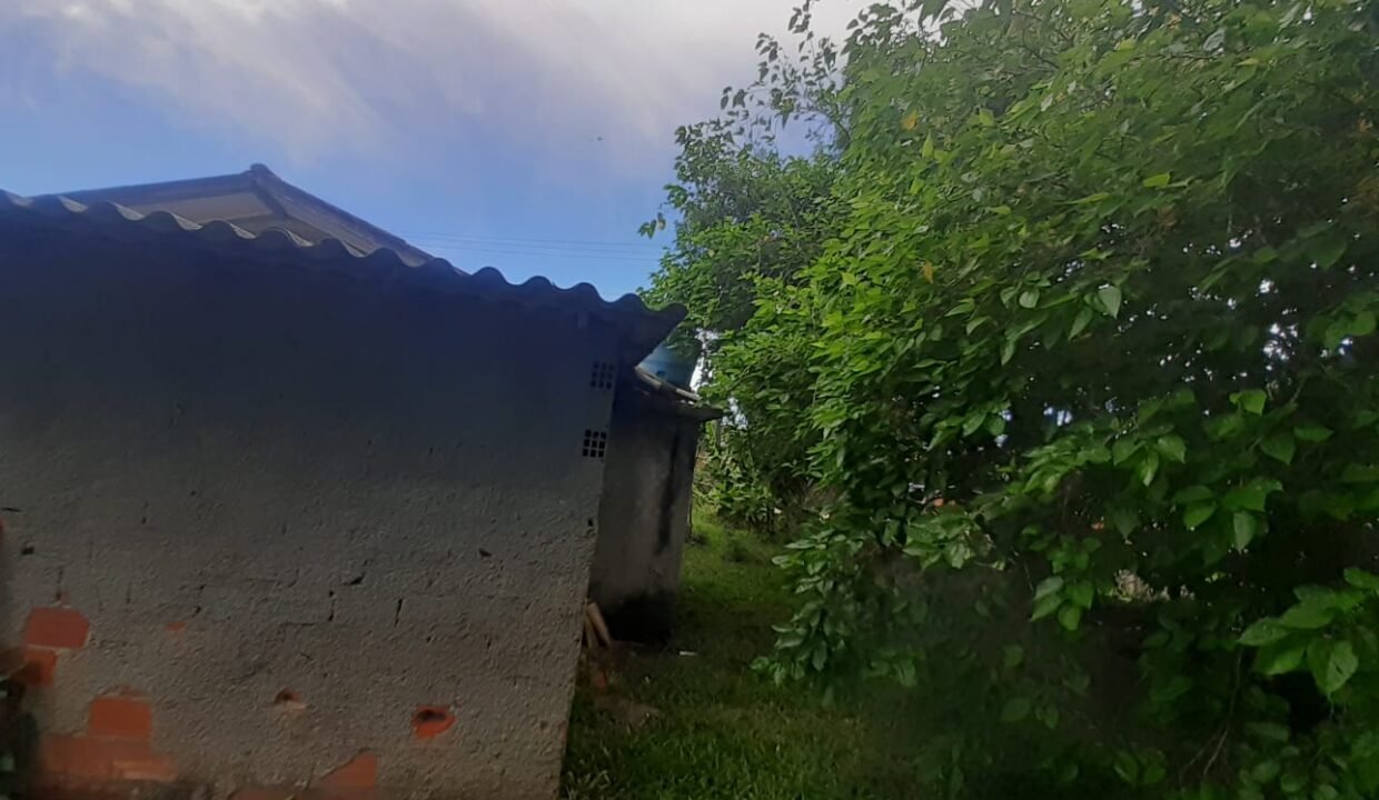 WhatsApp Image 2026-01-19 at 11.17.06 (1)