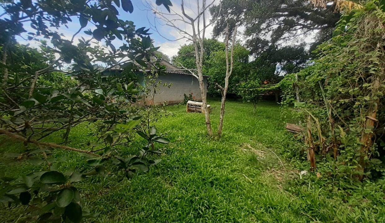 WhatsApp Image 2026-01-19 at 11.17.06