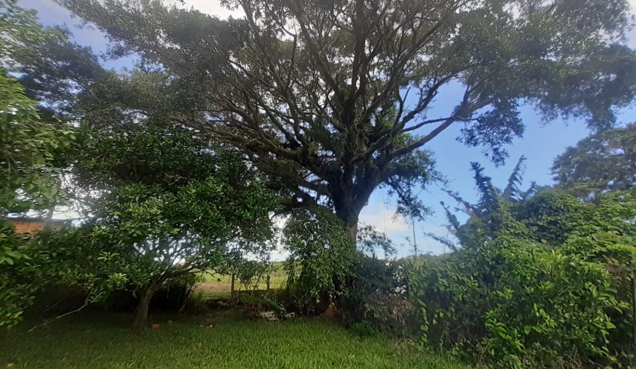 WhatsApp Image 2026-01-19 at 11.17.07 (1)