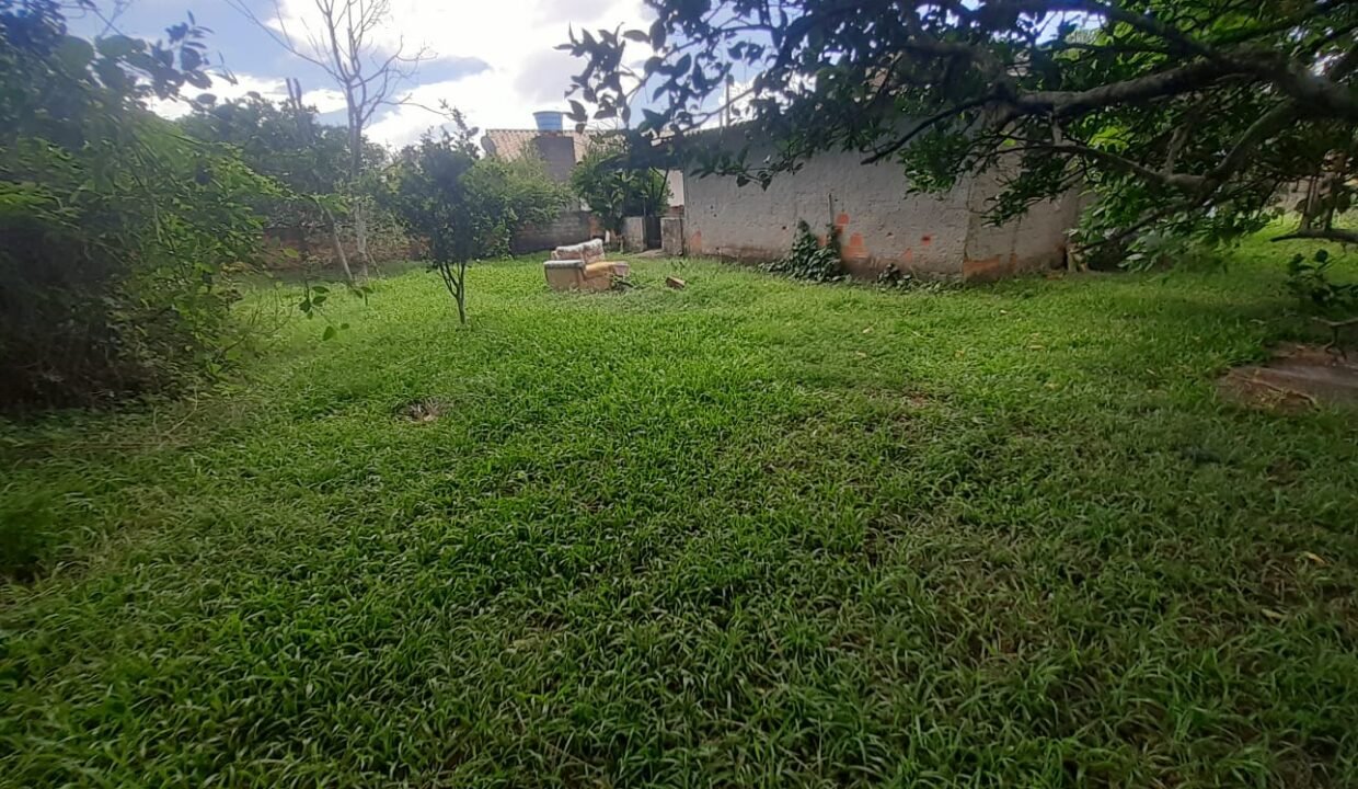 WhatsApp Image 2026-01-19 at 11.17.07