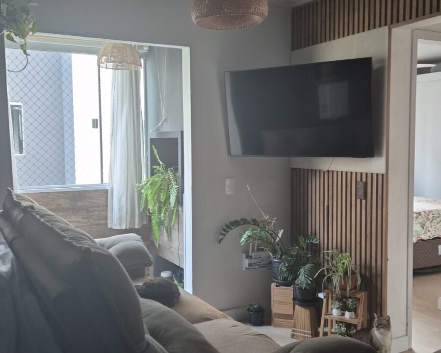 WhatsApp Image 2026-01-25 at 10.17.11