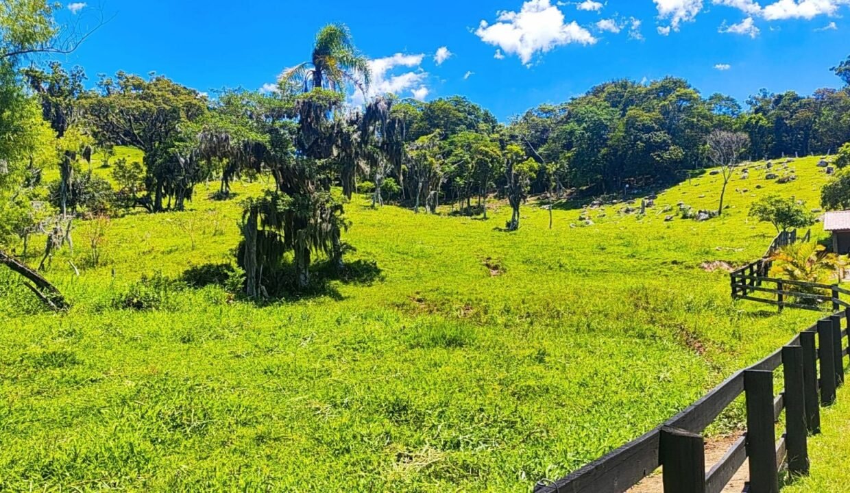 WhatsApp Image 2026-01-27 at 15.00.18