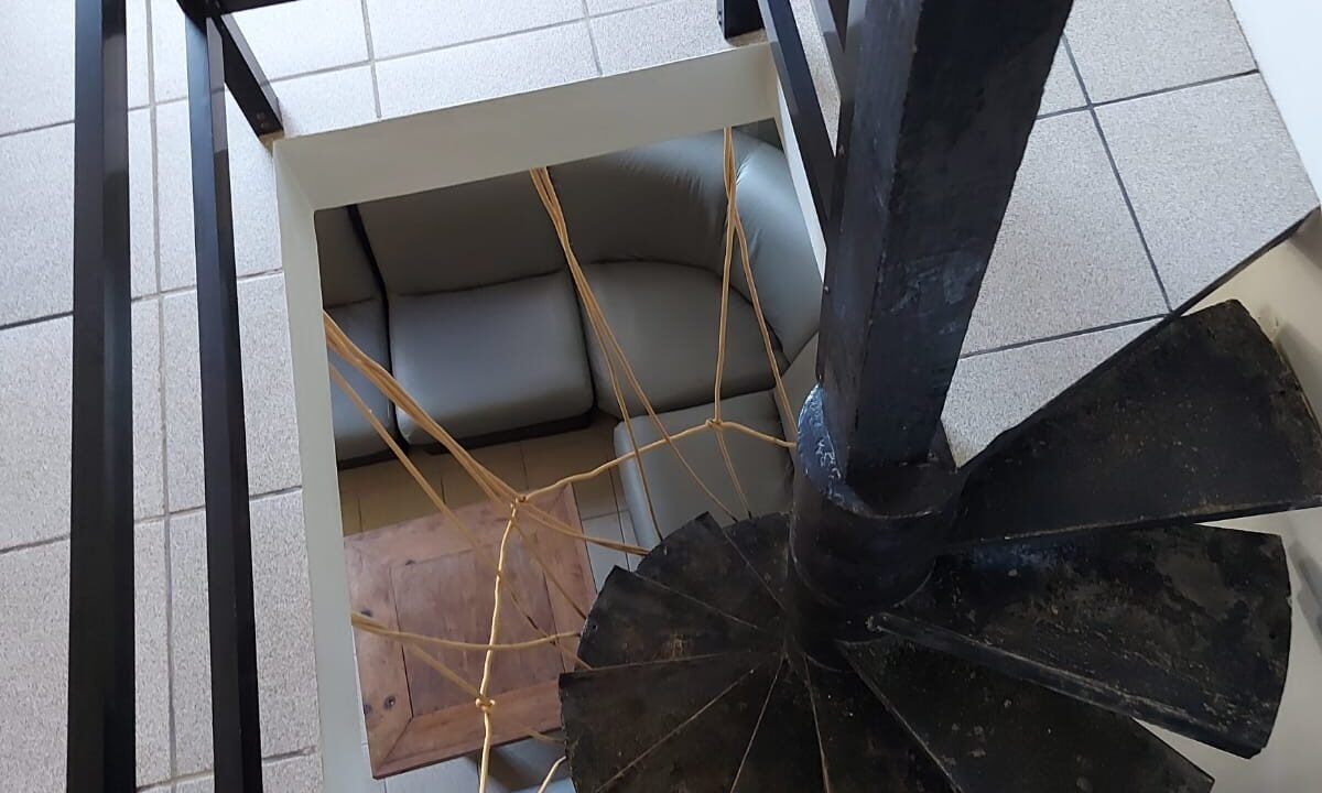 WhatsApp Image 2026-02-12 at 10.10.45