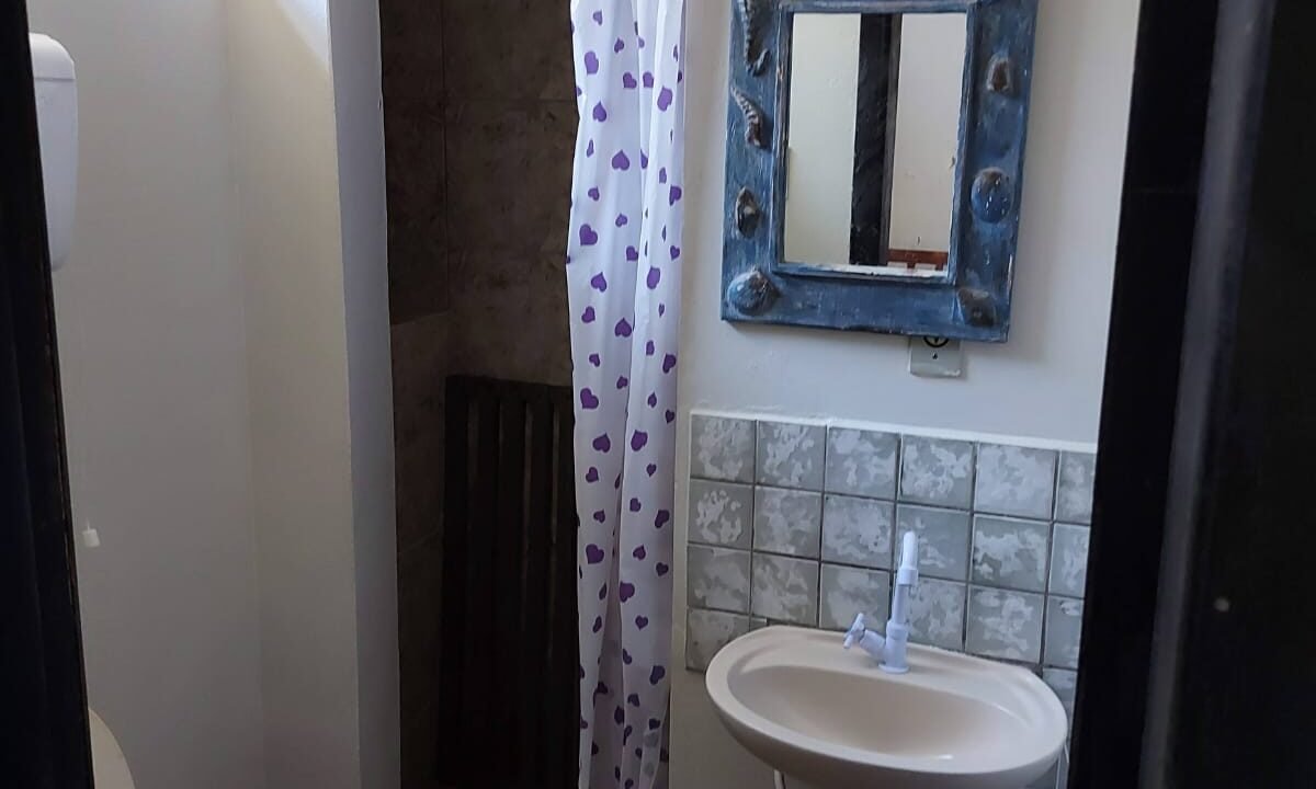 WhatsApp Image 2026-02-12 at 10.10.50 (1)