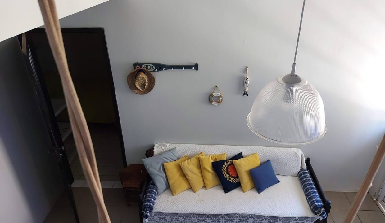 WhatsApp Image 2026-02-12 at 10.10.51 (1)