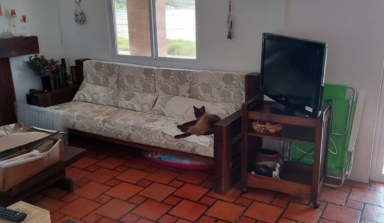 WhatsApp Image 2026-02-12 at 10.10.52