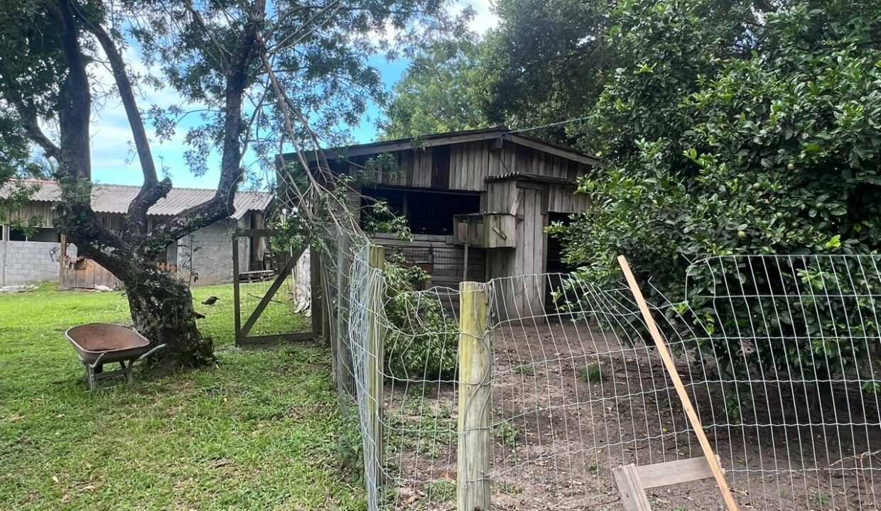 WhatsApp Image 2026-03-19 at 20.20.19