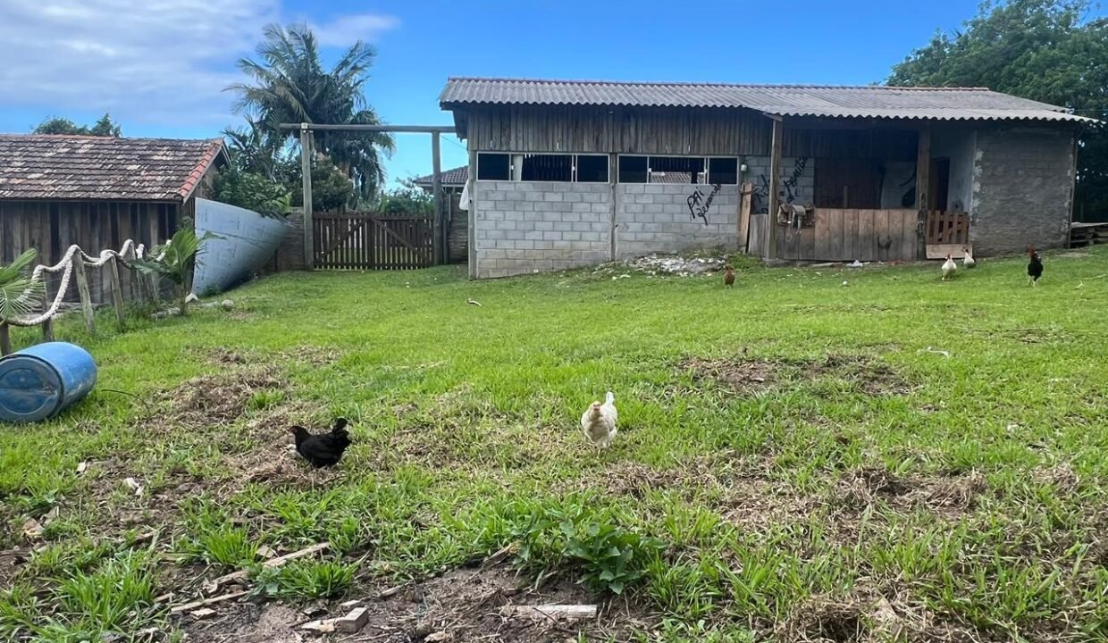 WhatsApp Image 2026-03-19 at 20.20.21