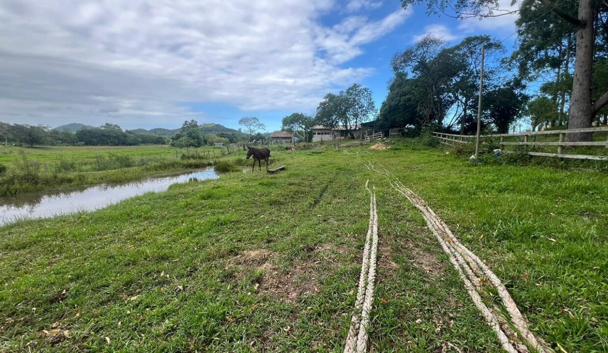 WhatsApp Image 2026-03-19 at 20.20.23