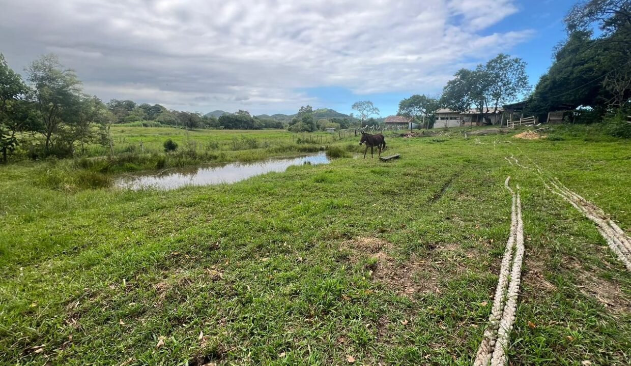 WhatsApp Image 2026-03-19 at 20.20.24