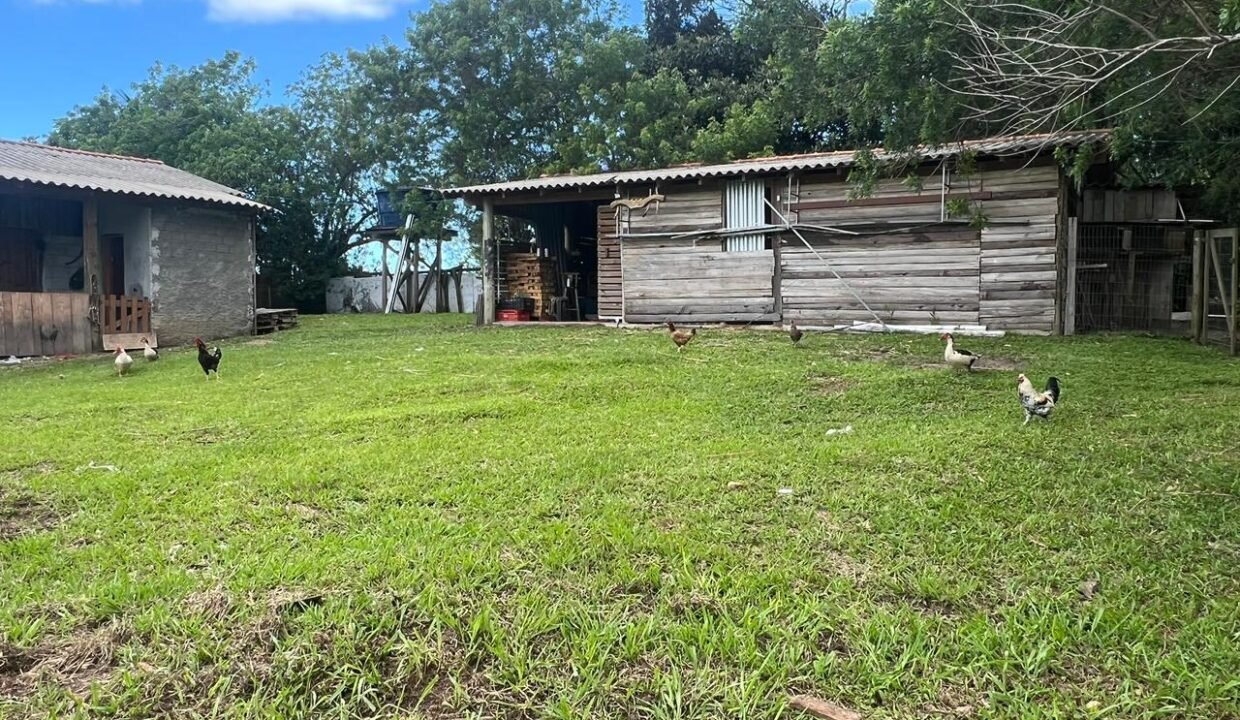 WhatsApp Image 2026-03-19 at 20.20.25 (1)