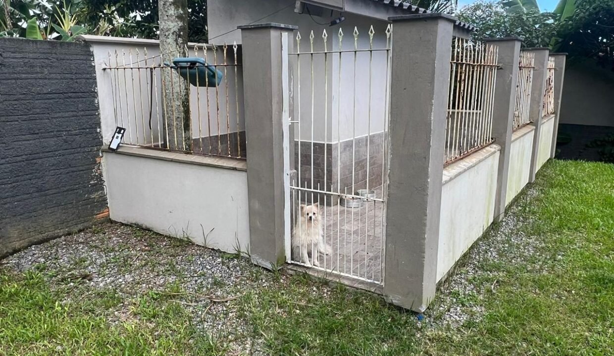 WhatsApp Image 2026-03-19 at 20.20.29 (2)